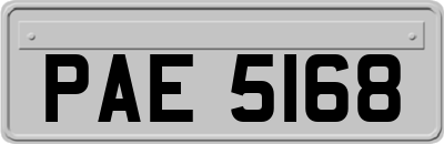 PAE5168