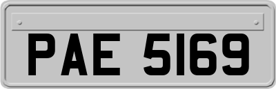 PAE5169