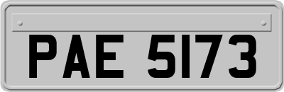 PAE5173