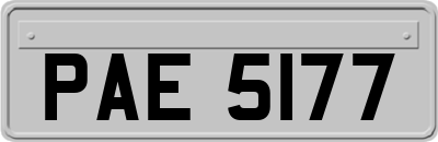 PAE5177