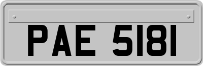 PAE5181