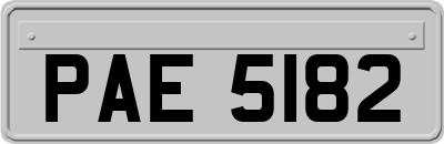 PAE5182