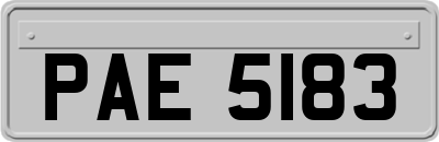 PAE5183