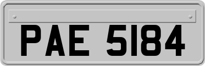 PAE5184