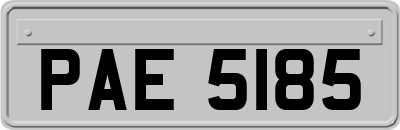 PAE5185