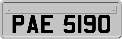 PAE5190