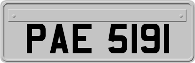 PAE5191