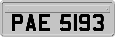 PAE5193