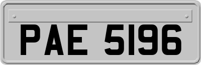 PAE5196