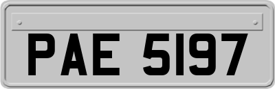 PAE5197