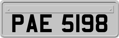 PAE5198