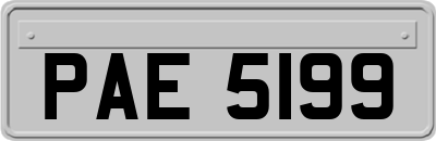 PAE5199