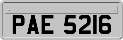 PAE5216