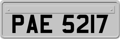 PAE5217
