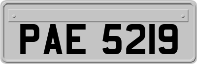 PAE5219