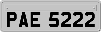 PAE5222