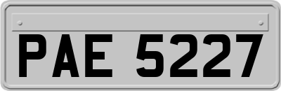 PAE5227