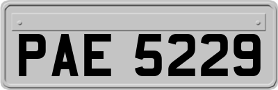 PAE5229