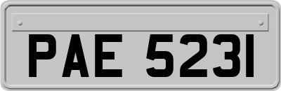PAE5231