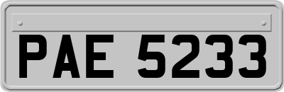 PAE5233