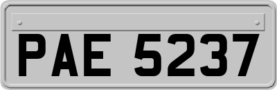 PAE5237