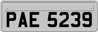 PAE5239