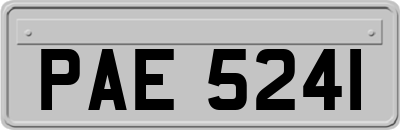 PAE5241