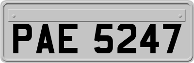PAE5247