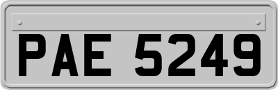 PAE5249