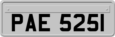 PAE5251