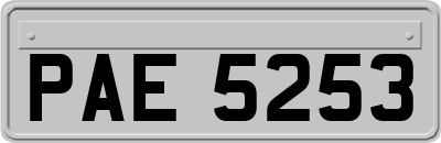 PAE5253