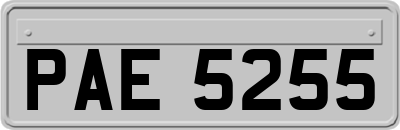 PAE5255