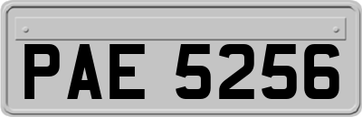PAE5256