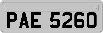 PAE5260