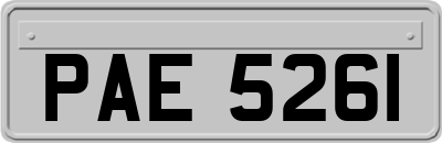 PAE5261