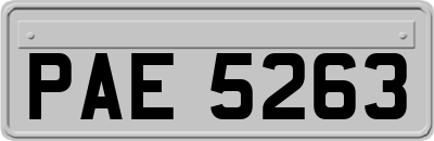 PAE5263