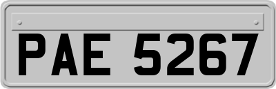 PAE5267
