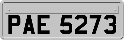 PAE5273