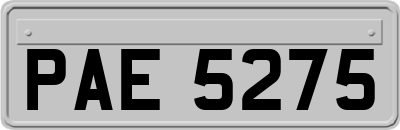 PAE5275