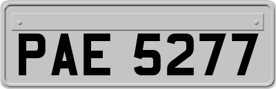PAE5277