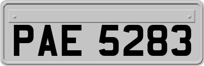 PAE5283