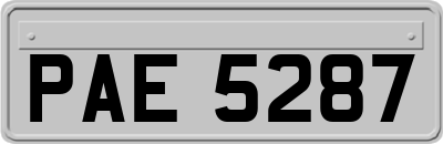 PAE5287