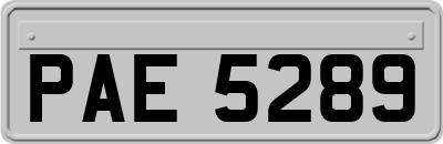 PAE5289