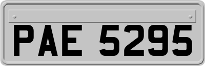 PAE5295