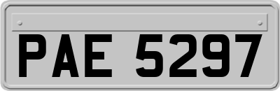 PAE5297