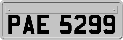 PAE5299