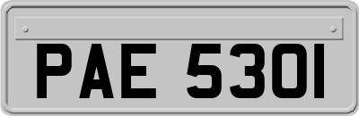 PAE5301