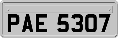 PAE5307