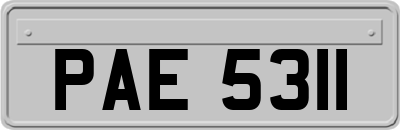 PAE5311
