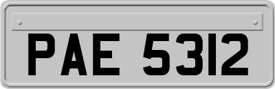PAE5312